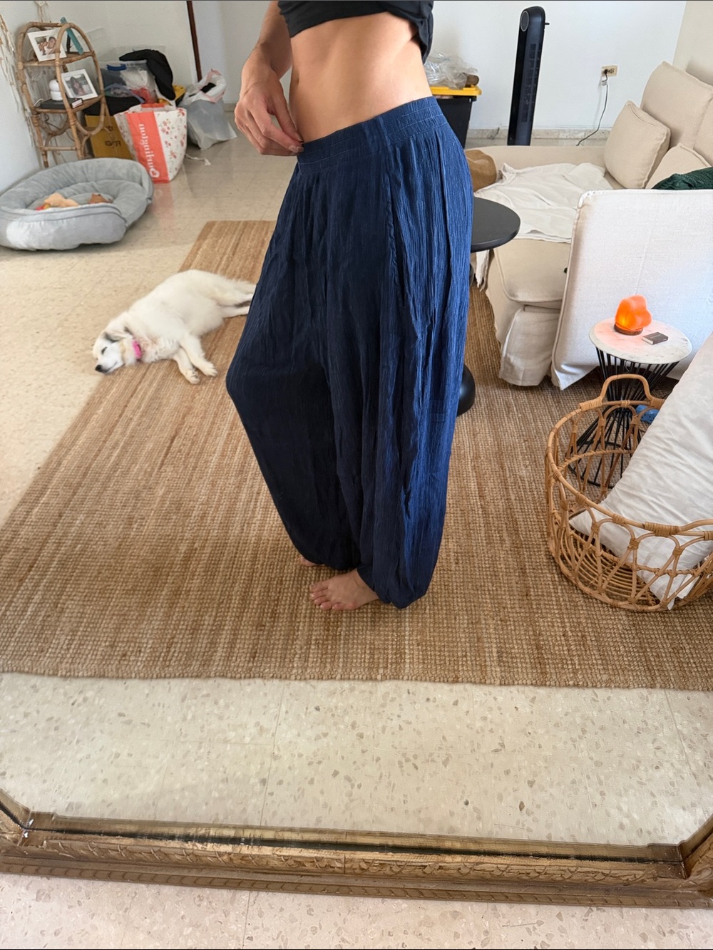 Zara Blue Wide-Leg Harem Pants